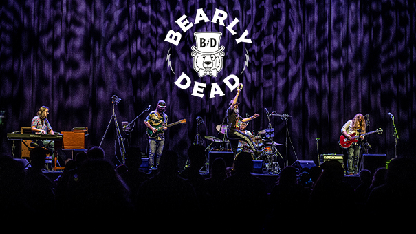 Bearly Dead