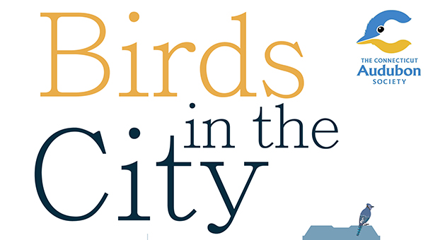 The Connecticut Audubon Society presents - Birds in the City