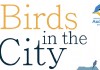 The Connecticut Audubon Society presents - Birds in the City