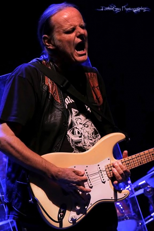 Walter Trout